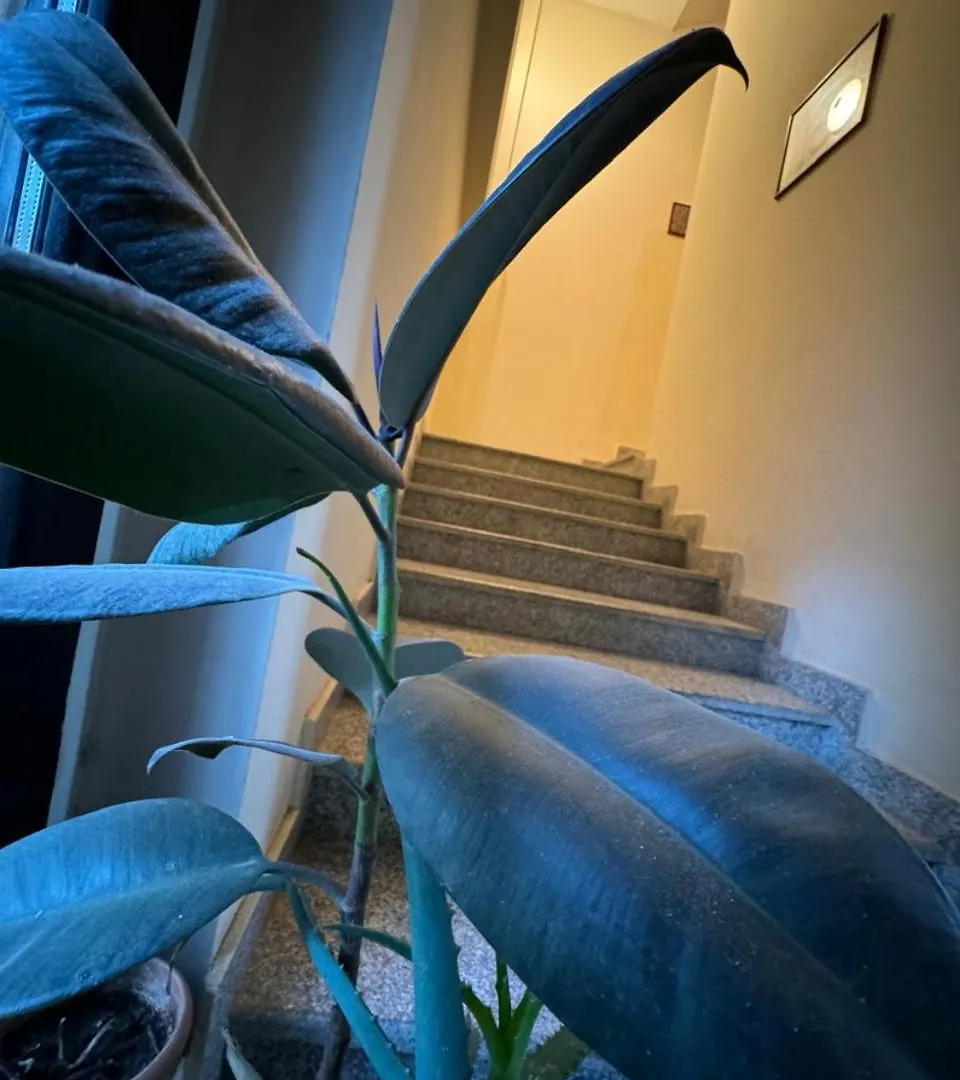 Access Hotel Baku